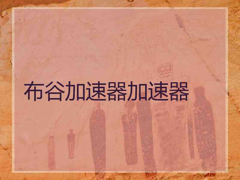 布谷加速器加速器