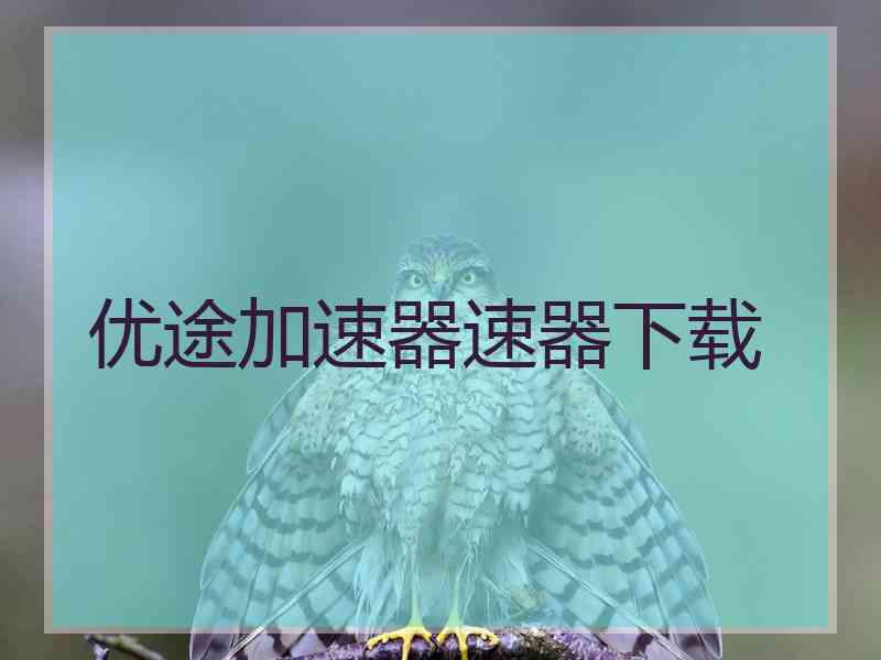 优途加速器速器下载