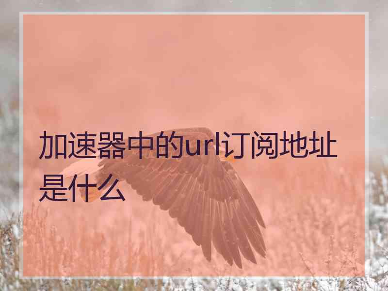 加速器中的url订阅地址是什么