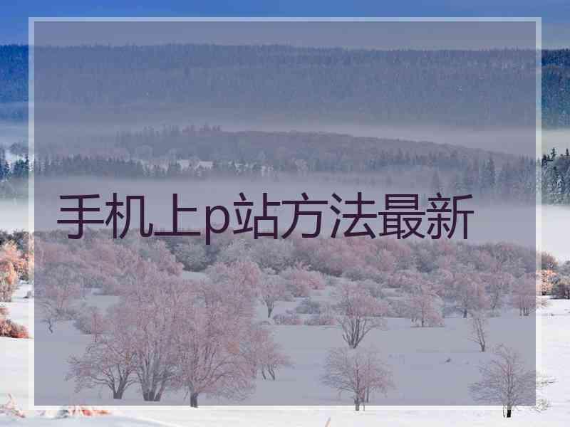 手机上p站方法最新