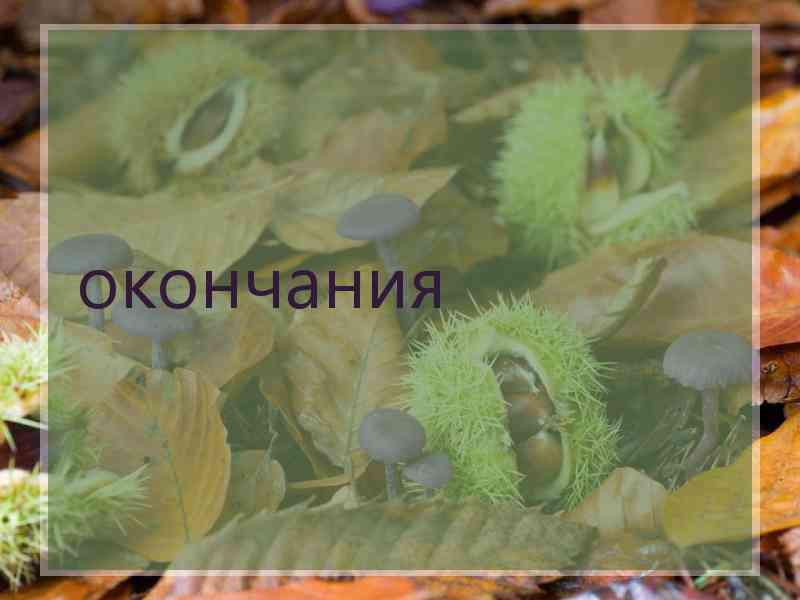 окончания
