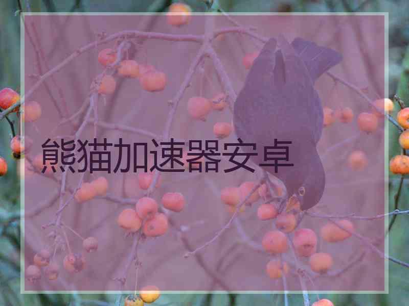 熊猫加速器安卓