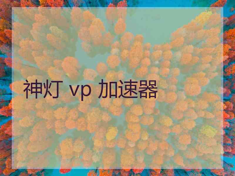 神灯 vp 加速器