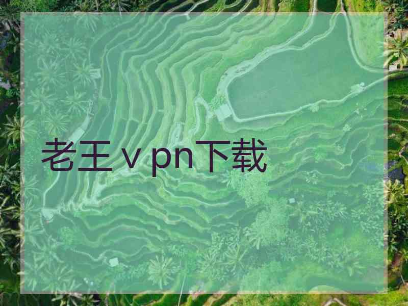 老王ⅴpn下载