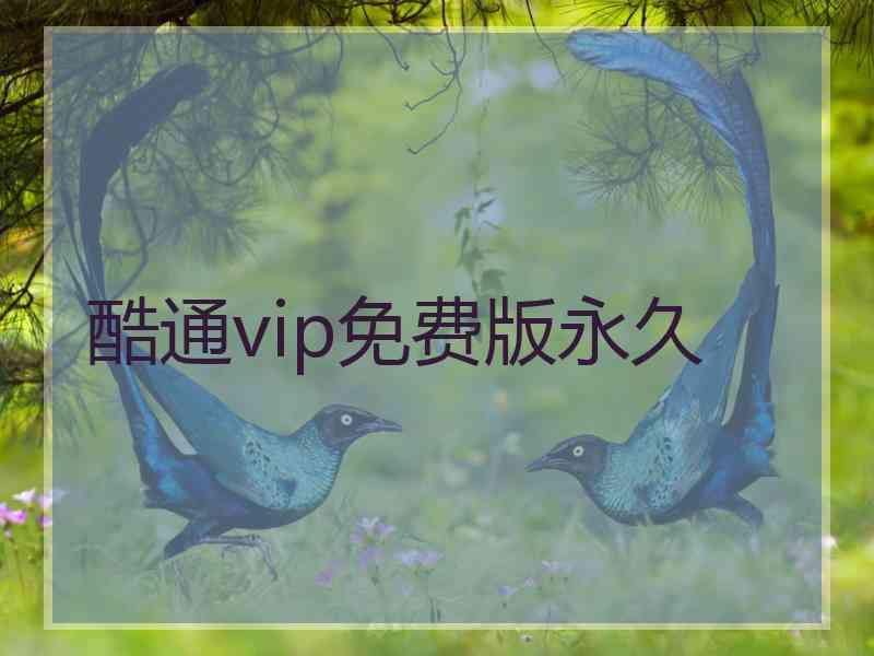 酷通vip免费版永久
