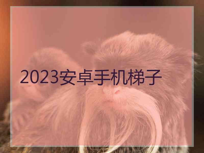 2023安卓手机梯子