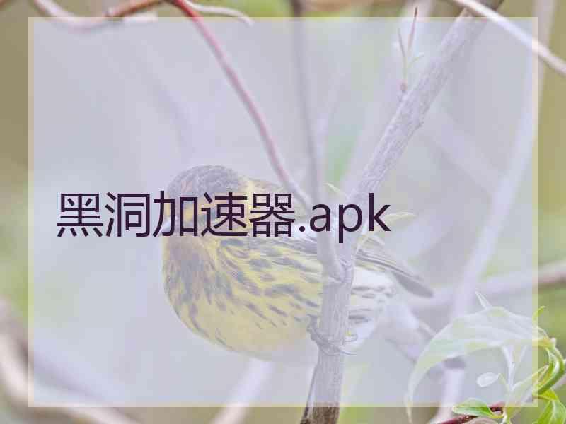 黑洞加速器.apk