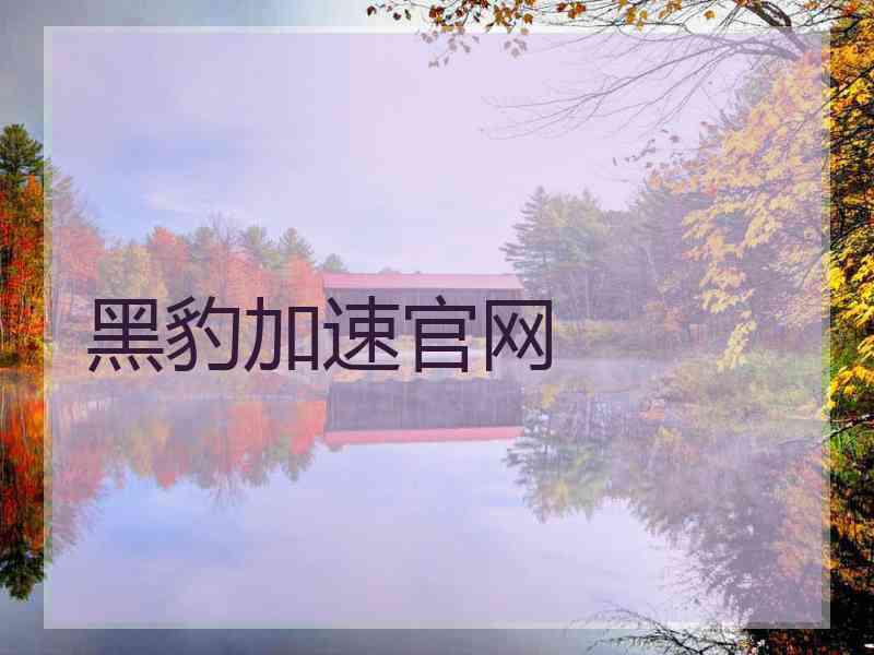 黑豹加速官网