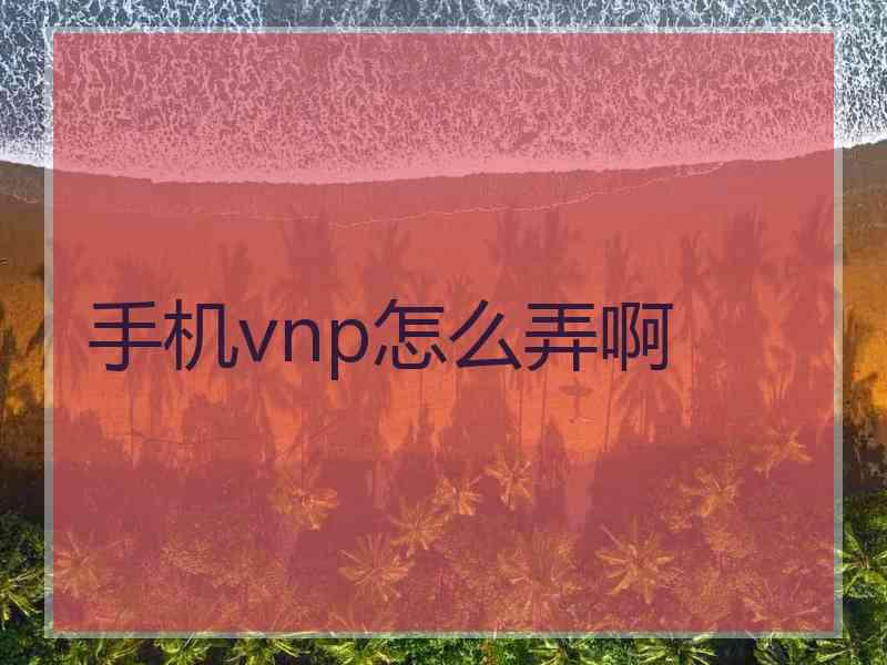 手机vnp怎么弄啊