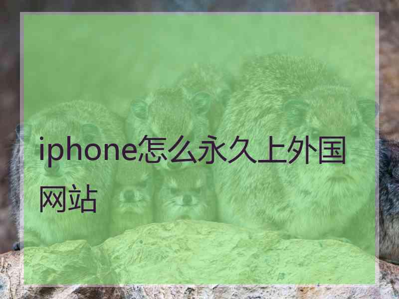 iphone怎么永久上外国网站