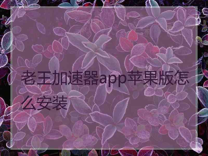 老王加速器app苹果版怎么安装