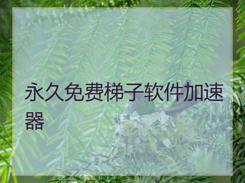 永久免费梯子软件加速器