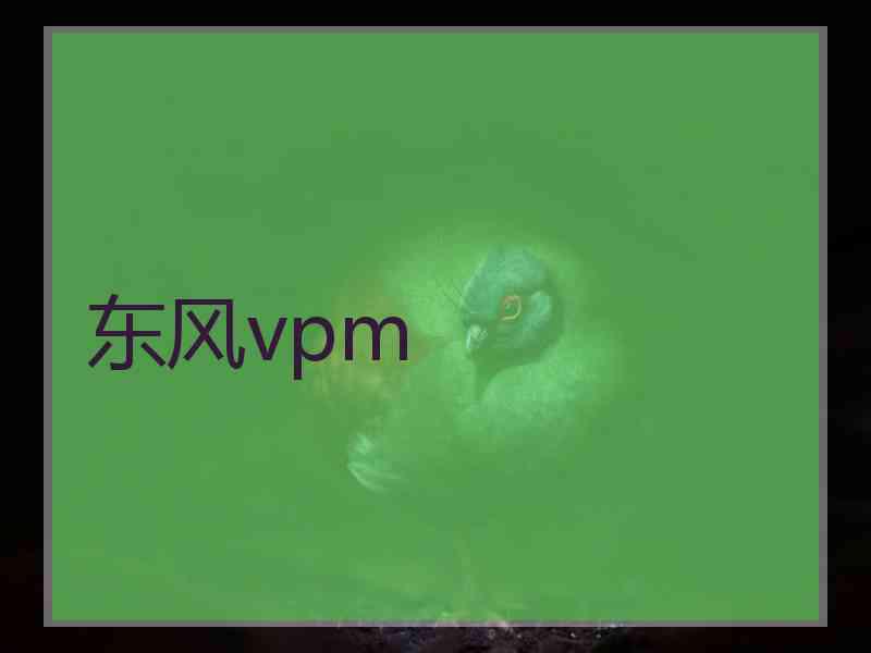 东风vpm
