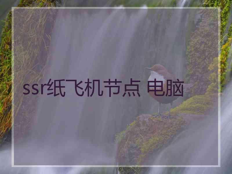 ssr纸飞机节点 电脑