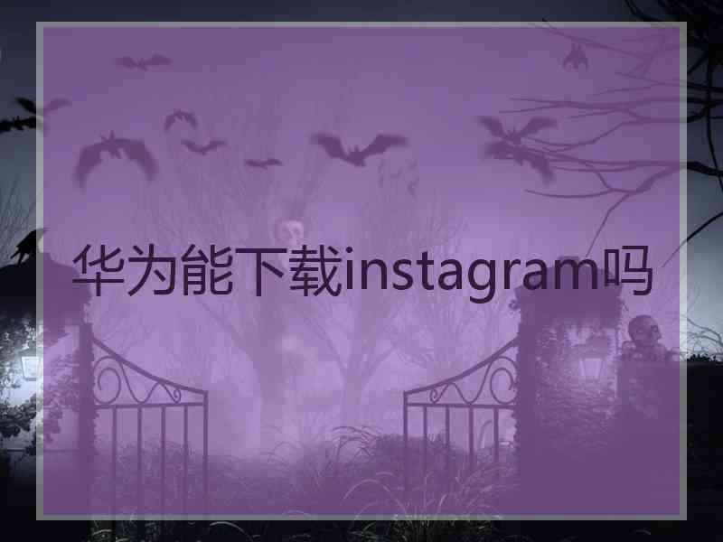 华为能下载instagram吗