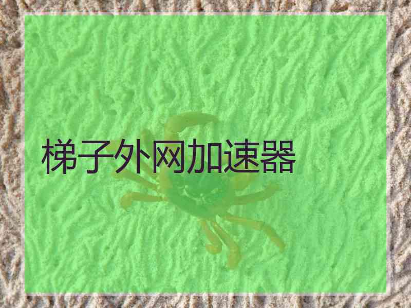 梯子外网加速器