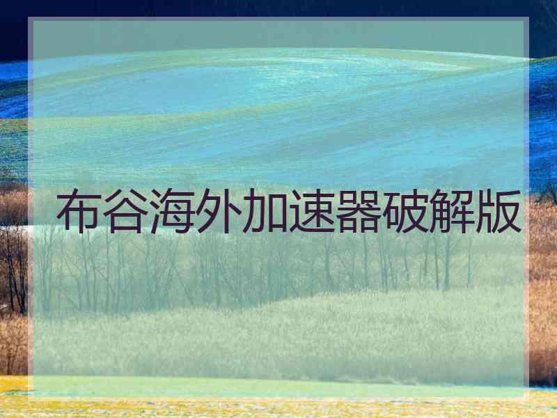 布谷海外加速器破解版