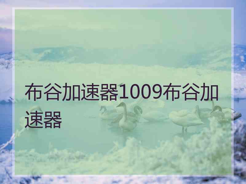 布谷加速器1009布谷加速器