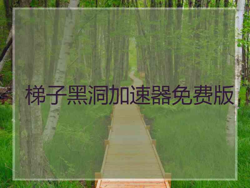 梯子黑洞加速器免费版