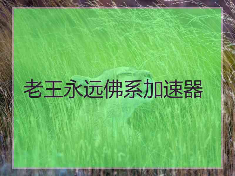 老王永远佛系加速器