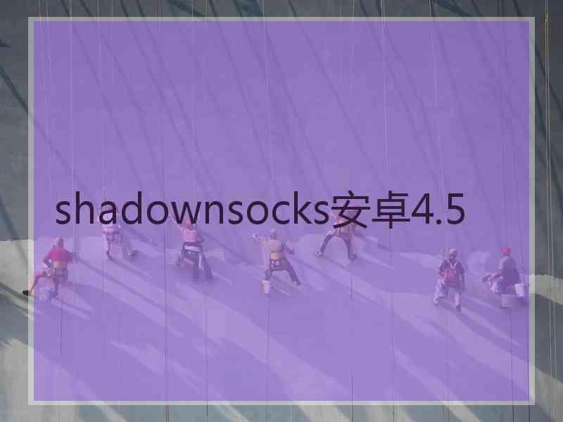 shadownsocks安卓4.5