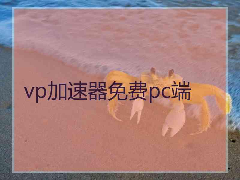 vp加速器免费pc端
