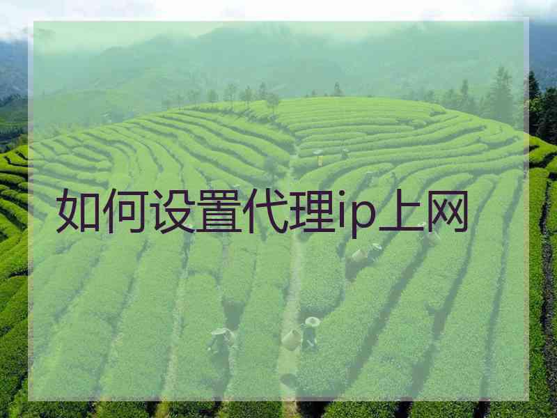 如何设置代理ip上网