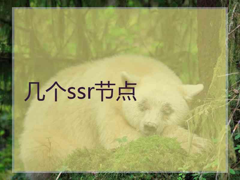 几个ssr节点