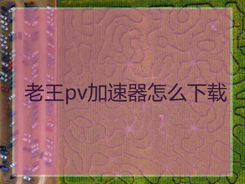 老王pv加速器怎么下载