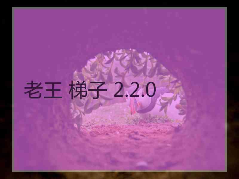 老王 梯子 2.2.0