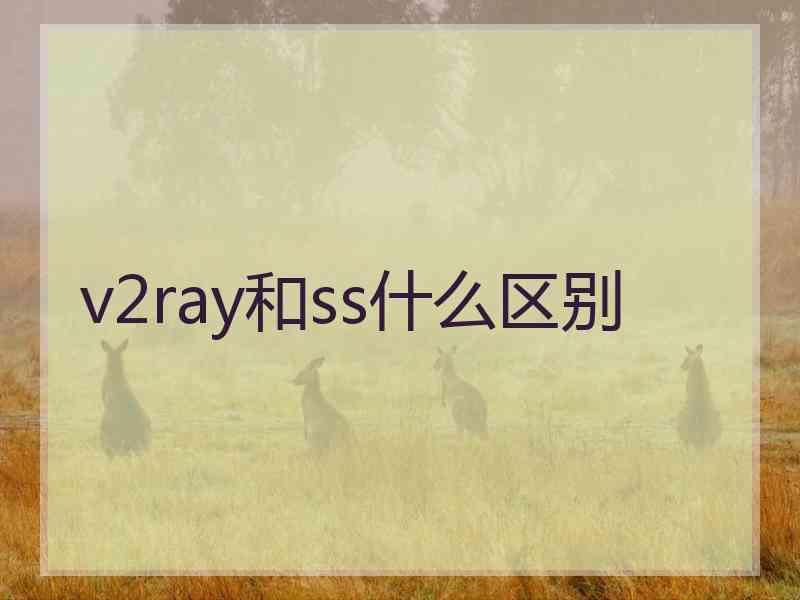 v2ray和ss什么区别