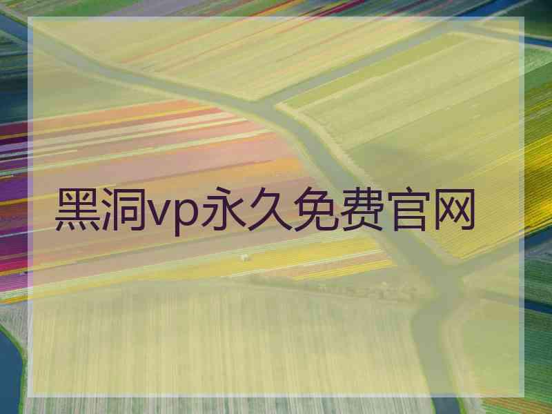 黑洞vp永久免费官网