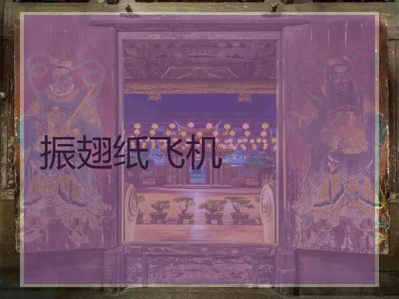 振翅纸飞机