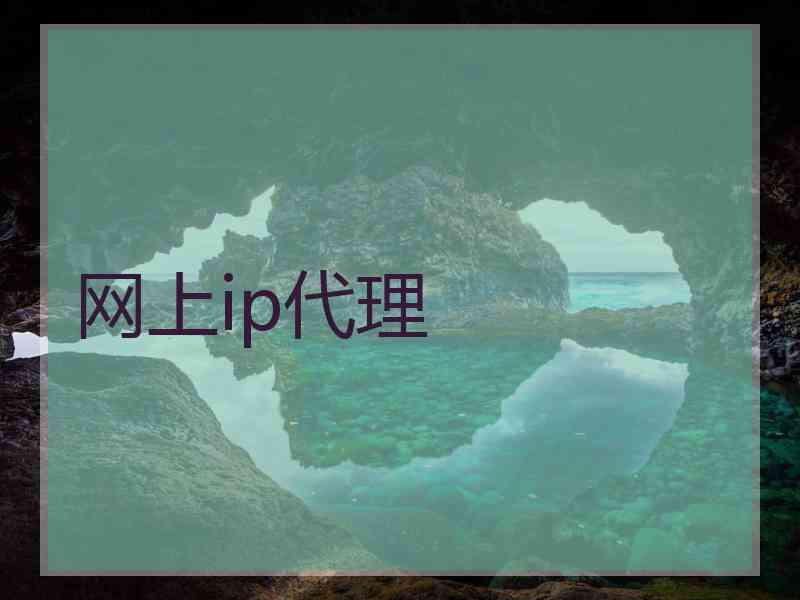 网上ip代理
