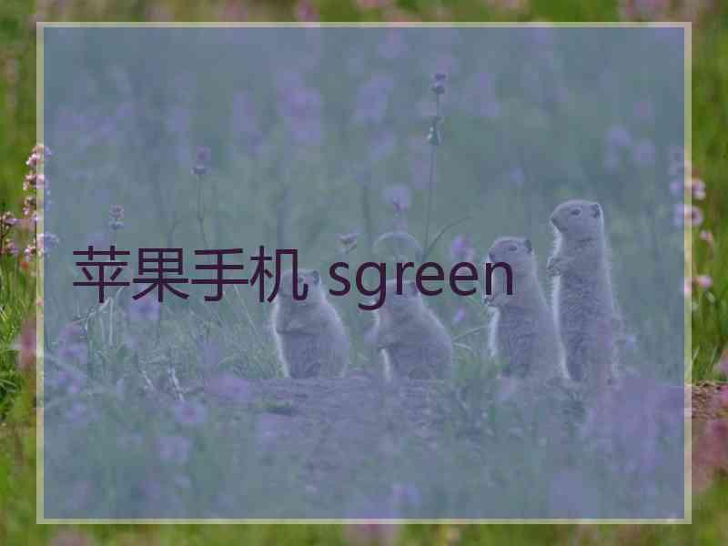 苹果手机 sgreen