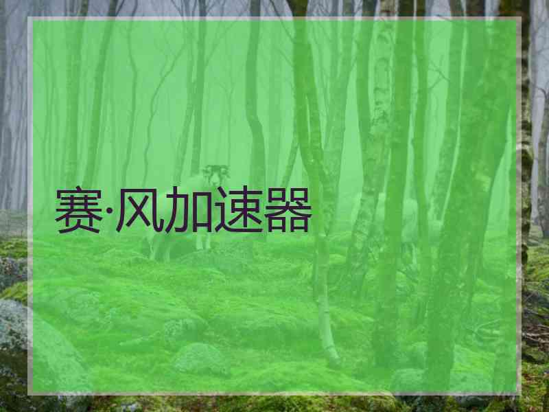 赛·风加速器