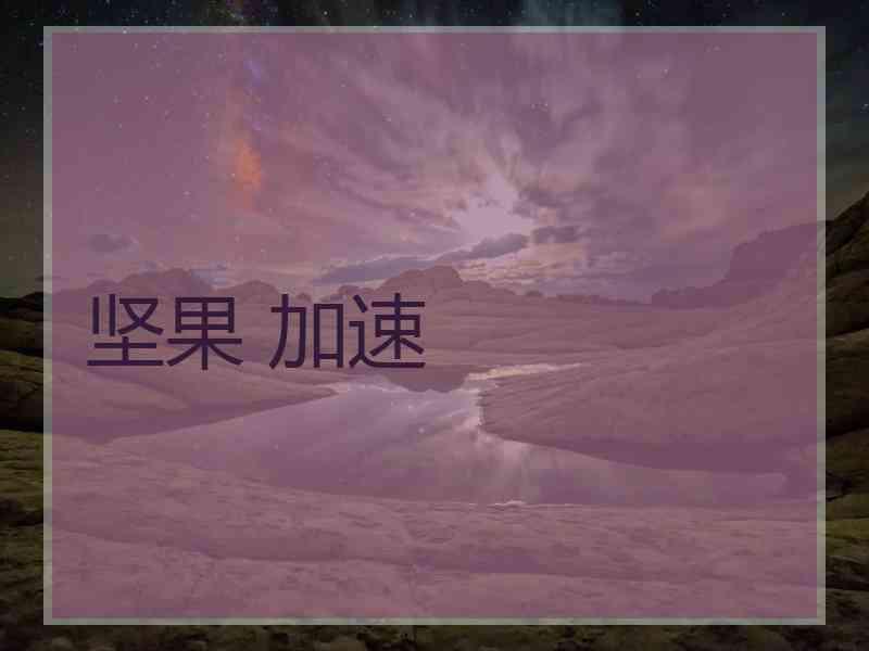 坚果 加速