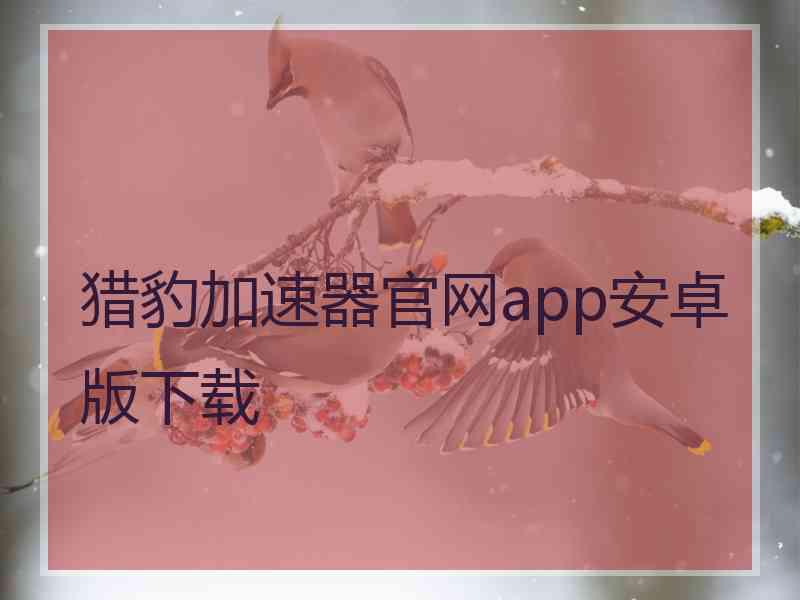 猎豹加速器官网app安卓版下载