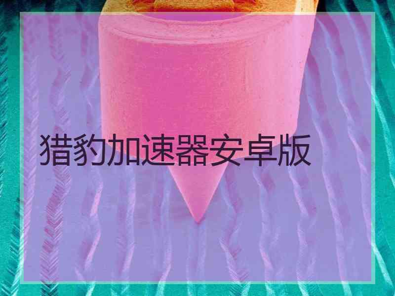 猎豹加速器安卓版