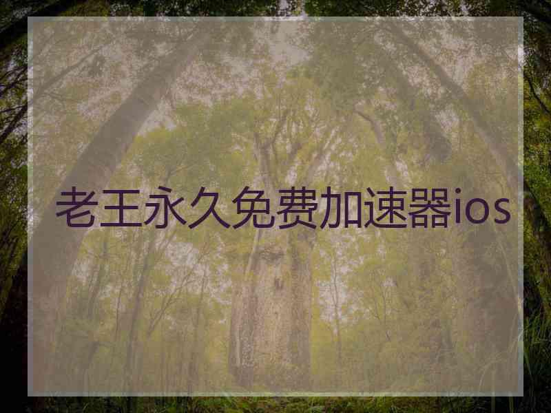 老王永久免费加速器ios