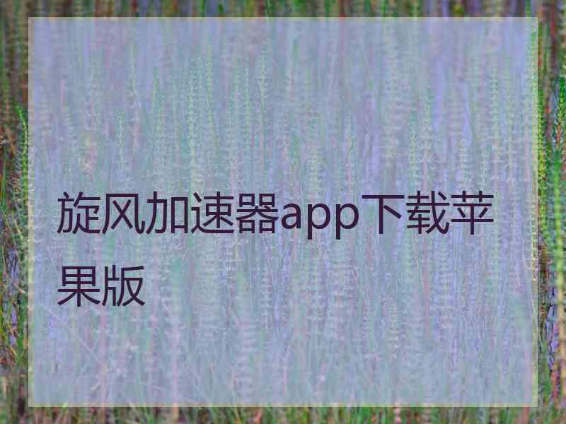 旋风加速器app下载苹果版