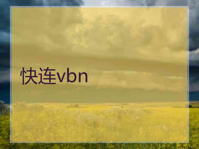 快连vbn