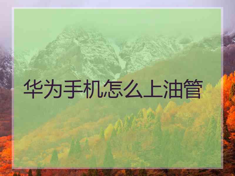 华为手机怎么上油管