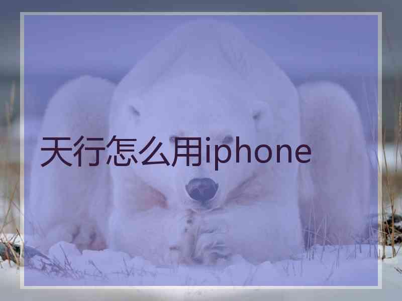 天行怎么用iphone