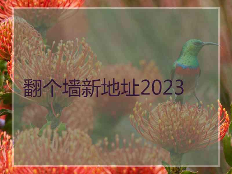 翻个墙新地址2023