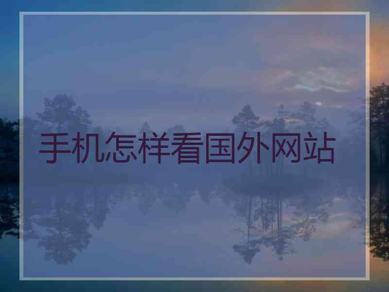 手机怎样看国外网站