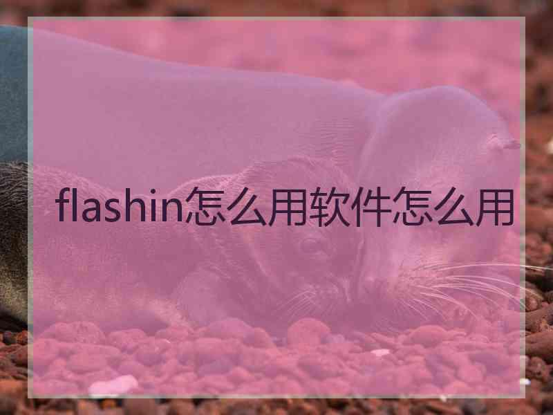 flashin怎么用软件怎么用