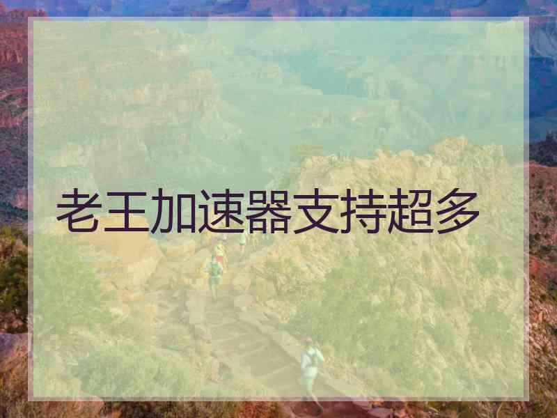 老王加速器支持超多