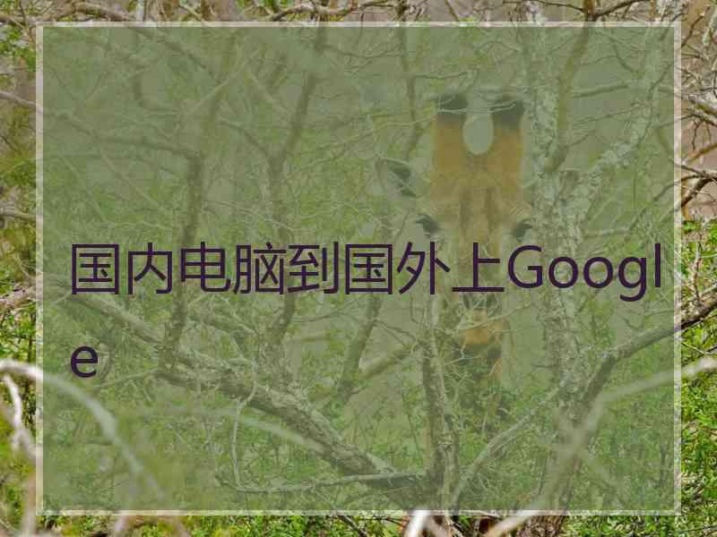 国内电脑到国外上Google