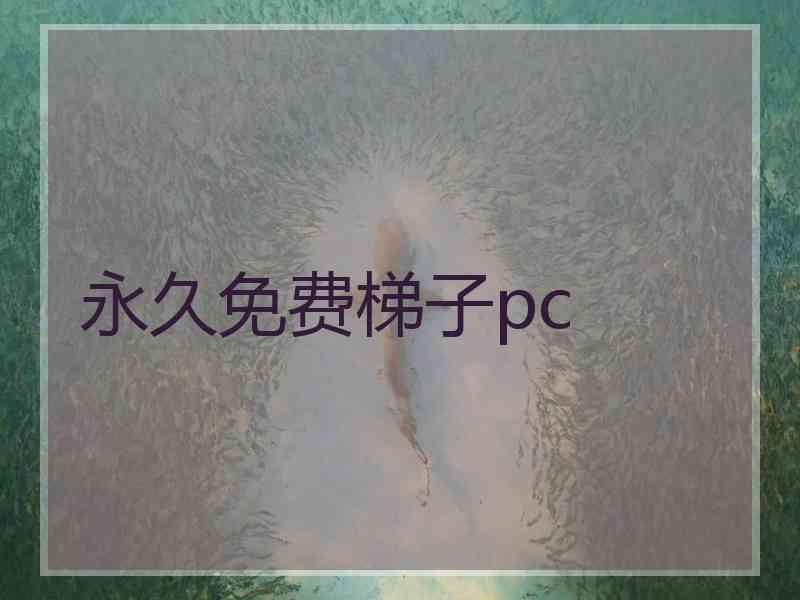 永久免费梯子pc